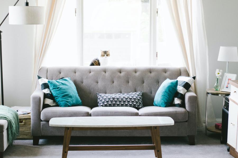 Foto: unsplash Fast alle Apartments in den untersuchten Objekten werden vollmöbliert angeboten – allerdings ohne Katze.